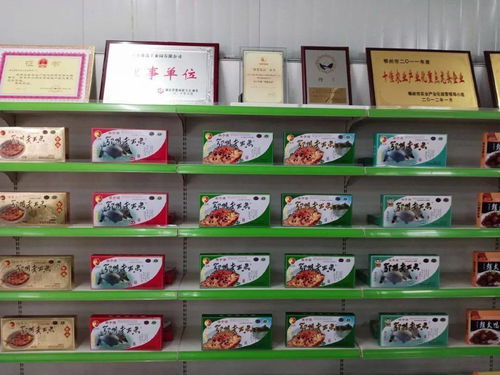 电商扶贫小队实践走访农村电商,开展扶贫访谈